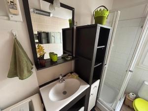 Maisons de vacances Maison calme avec jardinet, proche plage et Parc de Royan - FR-1-494-56 : photos des chambres