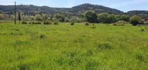 Villas Le Bastidon : photos des chambres