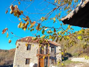 Arbinovo Lodge