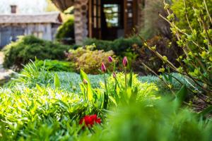 Viesu nams Vālodzes