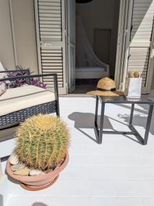 LIBECCIO HOUSE-Relax e Stile a Due Passi dal Mare