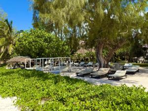 Galu Ecolodge - Diani Beach