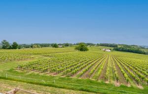 Maisons de vacances Awesome Home In Belves-De-Castillon : photos des chambres