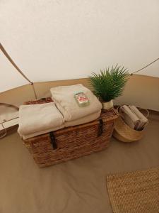 Glamping au verger de la Marsale