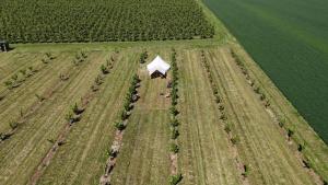 Glamping au verger de la Marsale