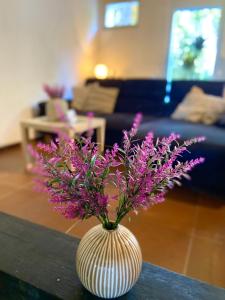 Ferienwohnung Heidezeit