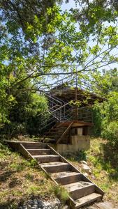 Villas Charming villa in the heart of the Mediterranean Garrigue : photos des chambres