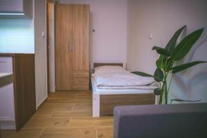 City centre apartments