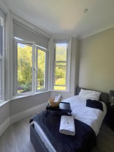 Squirrel Garden View Solo Studio in Earls Court