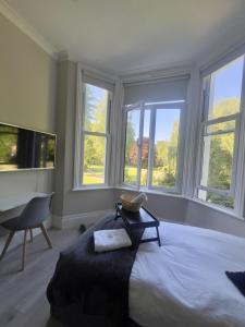 Rare Garden View Studio in Earls Court, 3min walk from station!