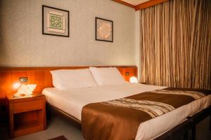 Comfort Single Room