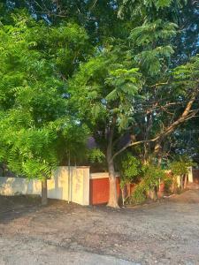 Ashirwad Home Stay , Rustic , 2 bedroom Villa amidst peacocks