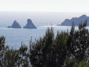 Appartements PETIT PARADIS - St MANDRIER VILLAGE : photos des chambres