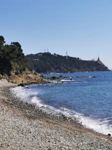 Appartements PETIT PARADIS - St MANDRIER VILLAGE : photos des chambres