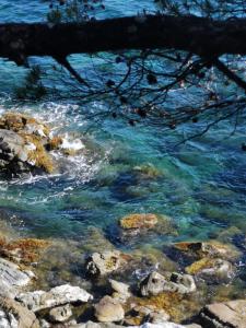 Appartements PETIT PARADIS - St MANDRIER VILLAGE : photos des chambres