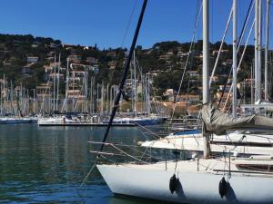 Appartements PETIT PARADIS - St MANDRIER VILLAGE : photos des chambres