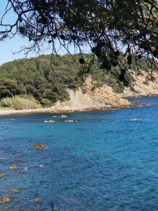 Appartements PETIT PARADIS - St MANDRIER VILLAGE : photos des chambres