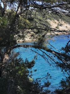 Appartements PETIT PARADIS - St MANDRIER VILLAGE : photos des chambres