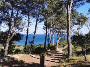 Appartements PETIT PARADIS - St MANDRIER VILLAGE : photos des chambres