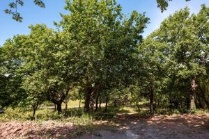 Villa con Vista Giardino