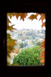 Appartements La croix des Rameaux- charming house near Lyon : photos des chambres