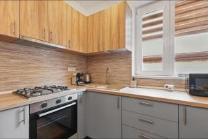 Petru Maior Apartments