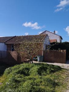 Maisons de vacances Au bois flotte - tiny house : photos des chambres