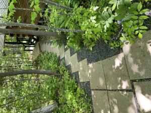 Wooden Rural Cabin Amazing for Outdoor Activities in Bayfield, Wisconsin