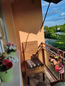 Apartament Królewskie Pawie