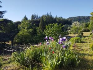 Chambre ensoleillée au calme