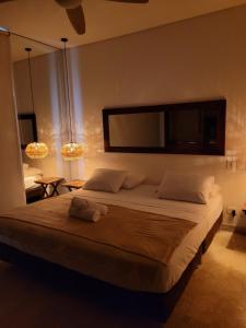 Apartamentos 129 Casa del Virrey Eslava Centro Histórico