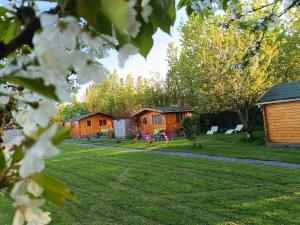 Maisons de vacances Gite Les Chalets du Fliers Verton Meubles de tourisme classes 2 etoiles : Maison de Vacances