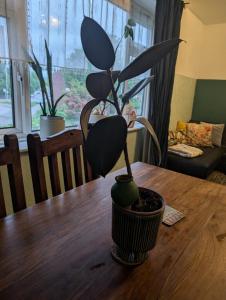 Bright Maisonette near Central Birmingham