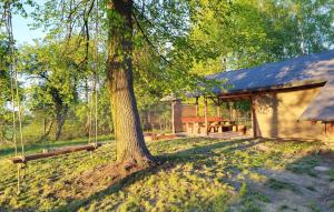 Gorgeous Home In Czerniewice With Wifi