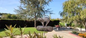 B&B / Chambres d'hotes L-Oree des Vignes 41 - proche Chenonceau et Zoo de Beauval : photos des chambres