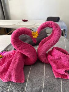 Sejours chez l'habitant 