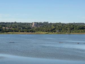 Departamento Premium