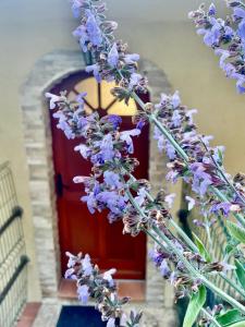 Maisons d'hotes Maison Azurelienne : photos des chambres