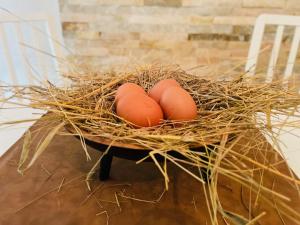 Maisons d'hotes Maison Azurelienne : photos des chambres
