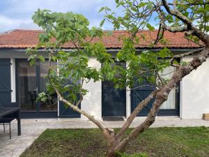 Maisons de vacances Villa Le Figuier : photos des chambres