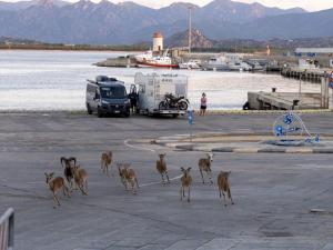 Tramonto D'oro img24