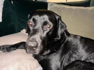 Ensuite guest room - Private entrance, no pets