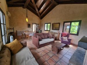 LAMAGATALL DEL MONTNEGRE