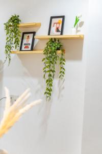 Spacious 1BR Studio Private Balcony and Cozy Netflix