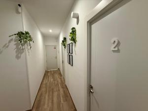 Palomeras, Habitación de Ensueño