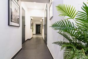 Urocze Studio w Zabytkowej Kamienicy Kazimierz