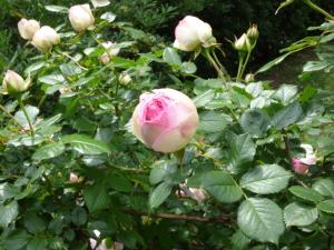 Appartements Apartment Cezanne with heated pool and private garden : photos des chambres