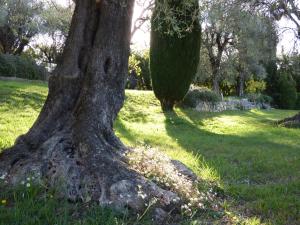 Maisons de vacances Pool House Renoir with heated pool and private garden : photos des chambres