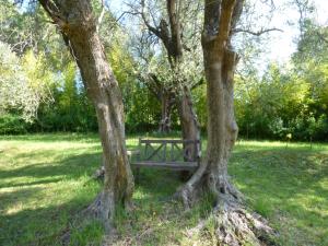 Maisons de vacances Pool House Renoir with heated pool and private garden : photos des chambres
