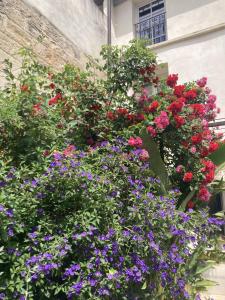 B&B / Chambres d'hotes La Maison des Augustins 4 stars Spa et Fitness : photos des chambres